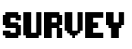  Survey